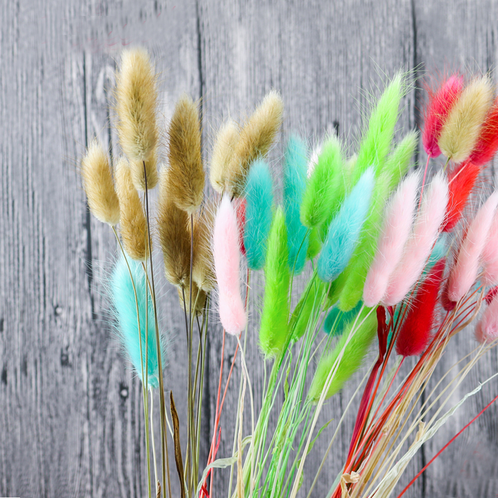 50pcs dried natural flower bou - Dried Flower Bunch ulasan dan harga