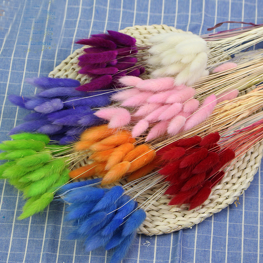 50pcs dried natural flower bou - Dried Flower Bunch ulasan dan harga