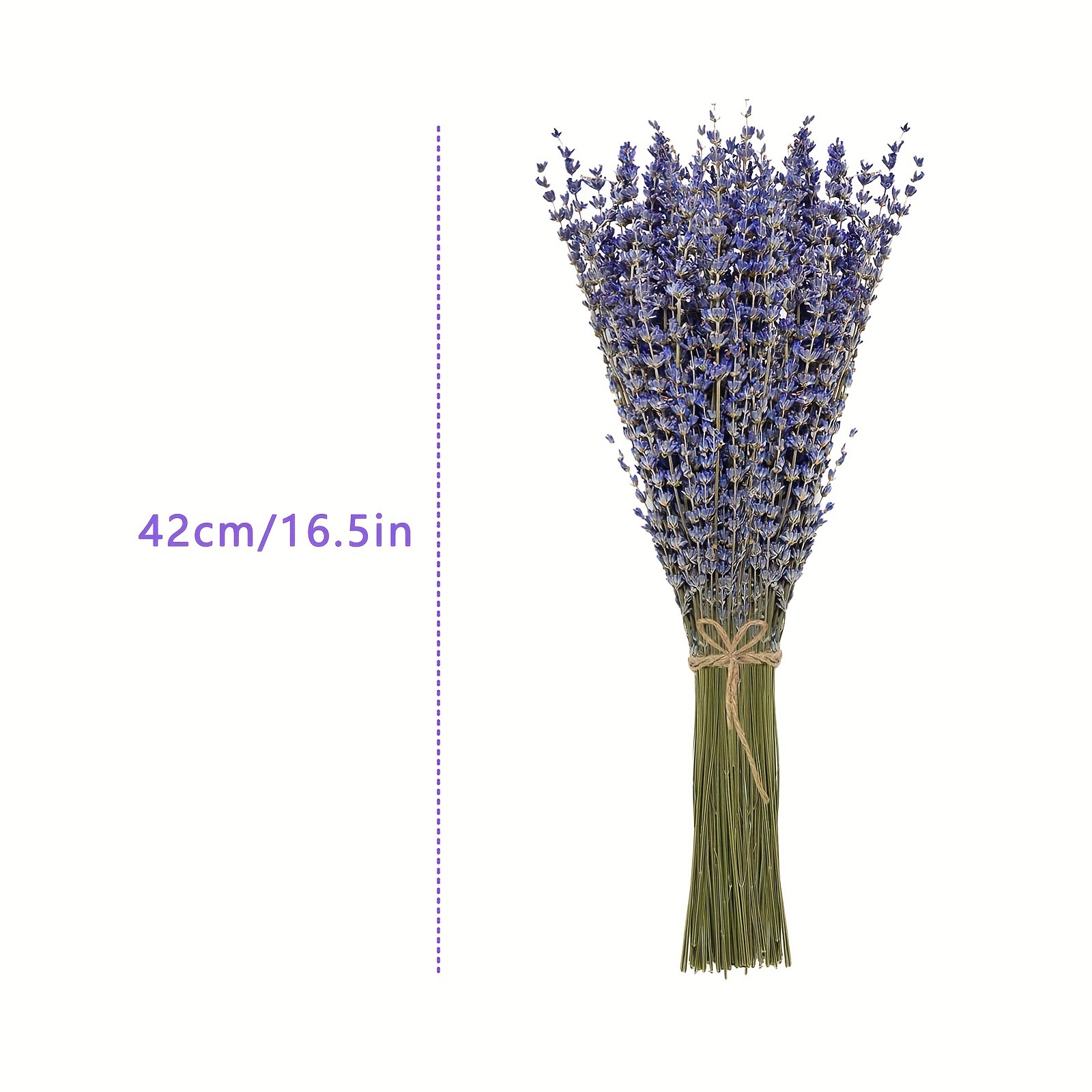 200pcs/Bunch Lavender Dried Fl - Dried Flower Bunch ulasan dan harga