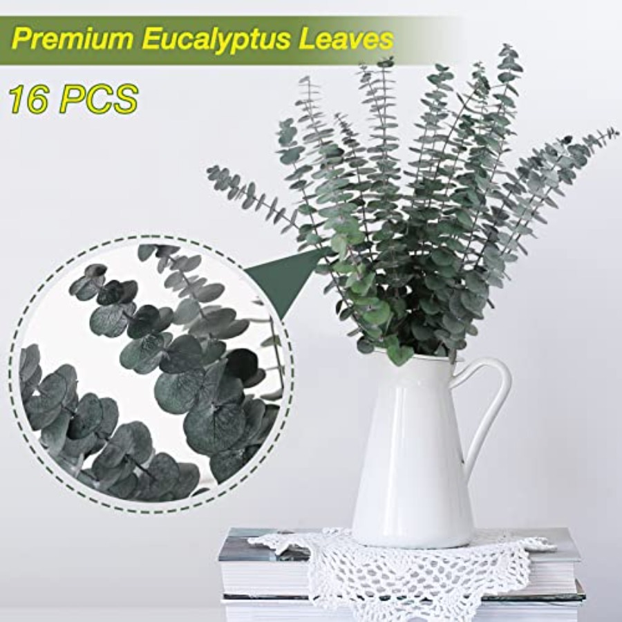 16 Pcs Preserved-Dried-Eucalyp - Dried Flower Bunch ulasan dan harga