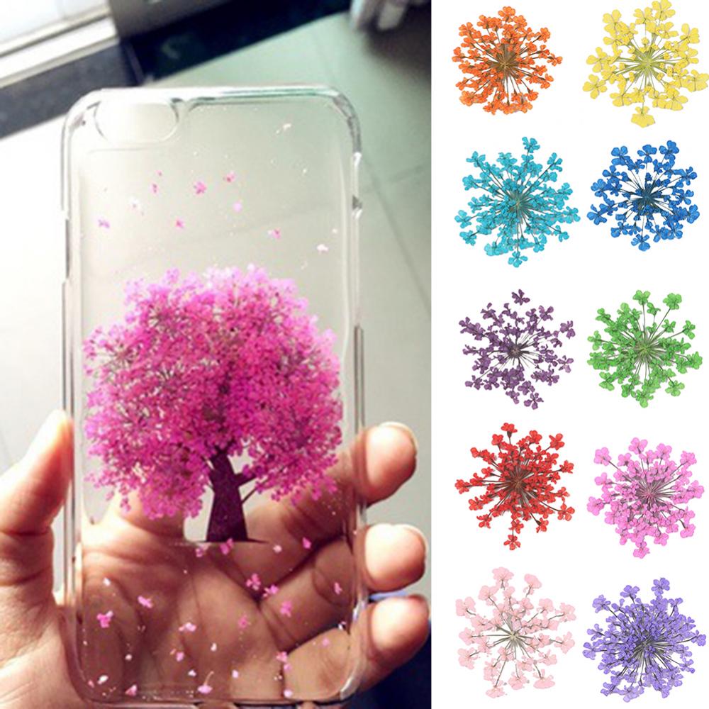 100Pcs Natural Plant Dried Flo - Dried Flower Bunch ulasan dan harga