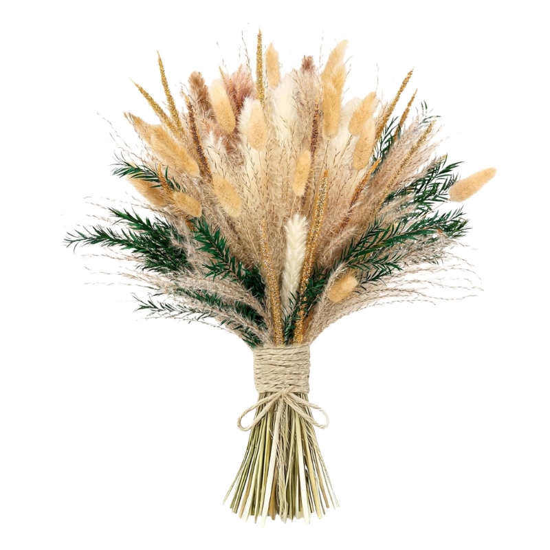 Bulk 100PCS Dried Pampas Grass - Dried Flower Bunch ulasan dan harga