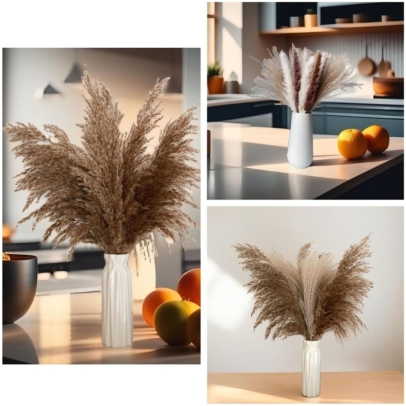 Bulk 100PCS Dried Pampas Grass - Dried Flower Bunch ulasan dan harga