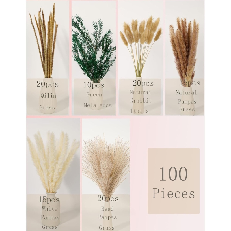 Bulk 100PCS Dried Pampas Grass - Dried Flower Bunch ulasan dan harga
