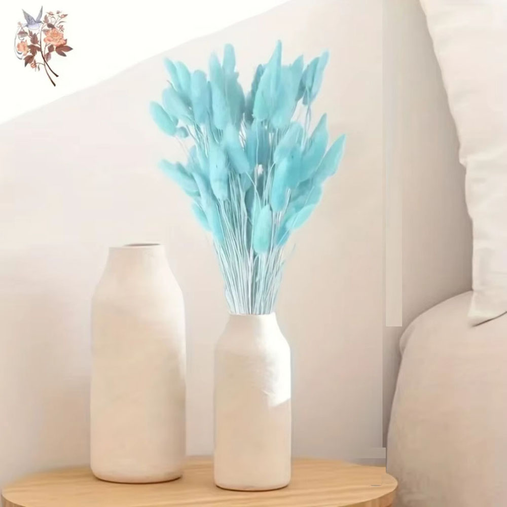 100Pcs Natural Rabbit Tails Gr - Dried Flower Bunch ulasan dan harga