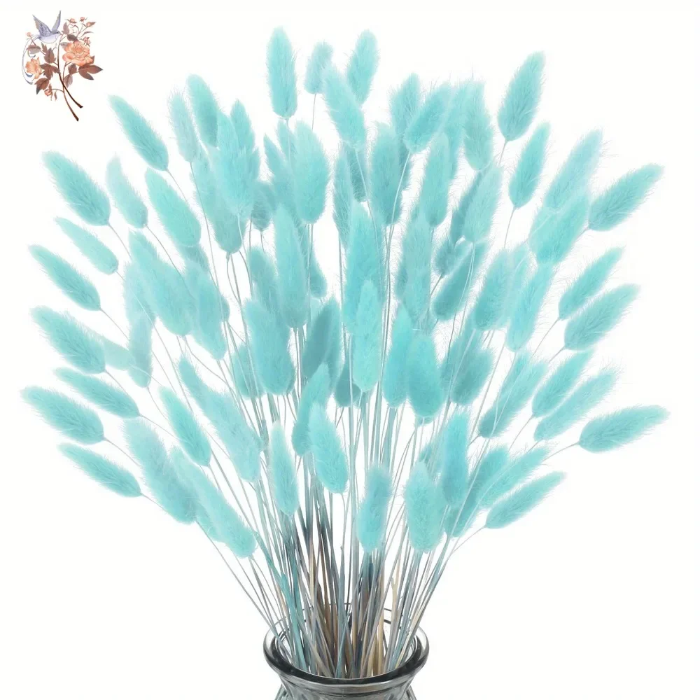 100Pcs Natural Rabbit Tails Gr - Dried Flower Bunch ulasan dan harga