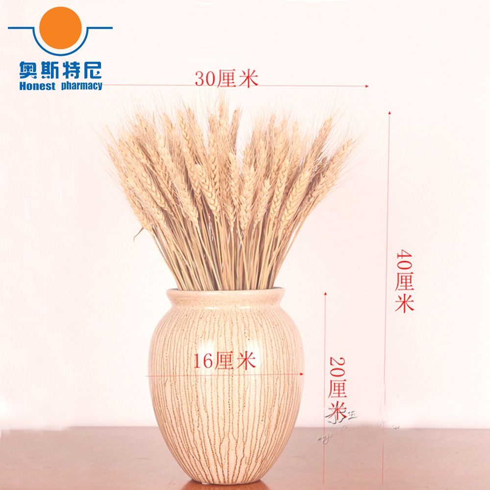 50pcs natural dried flower bou - Dried Flower Bunch ulasan dan harga