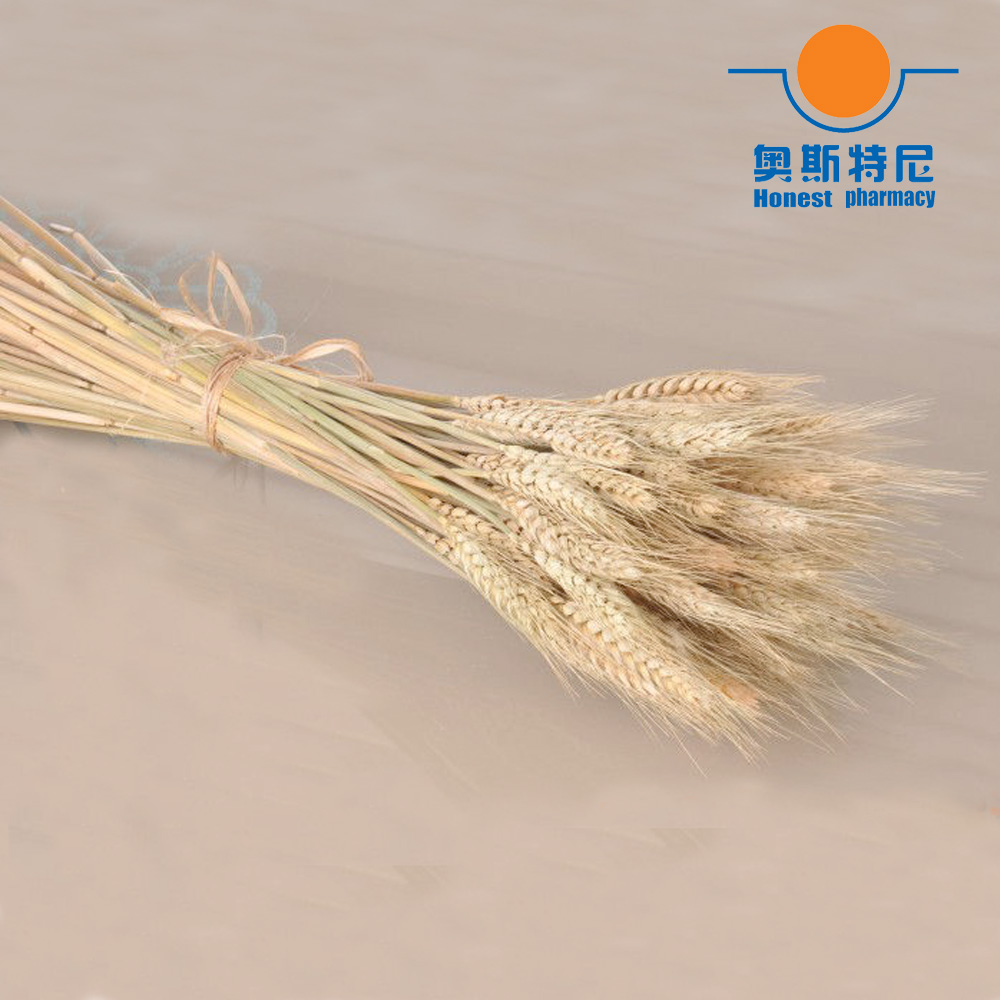 50pcs natural dried flower bou - Dried Flower Bunch ulasan dan harga