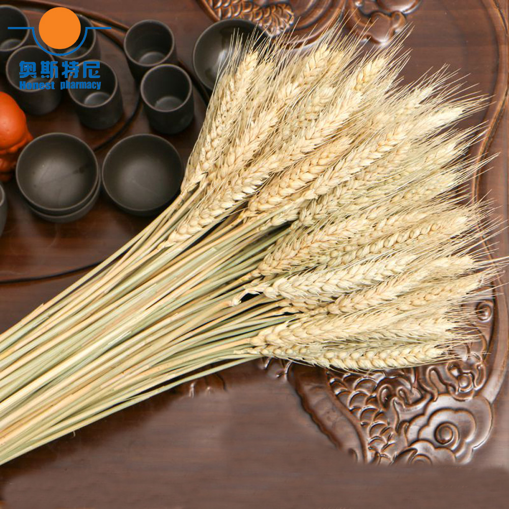 50pcs natural dried flower bou - Dried Flower Bunch ulasan dan harga