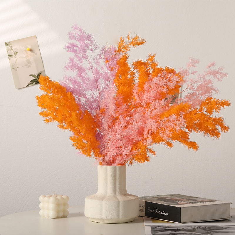 Preserved Ming Fern & Eternal  - Florist Supply Shop ulasan dan harga