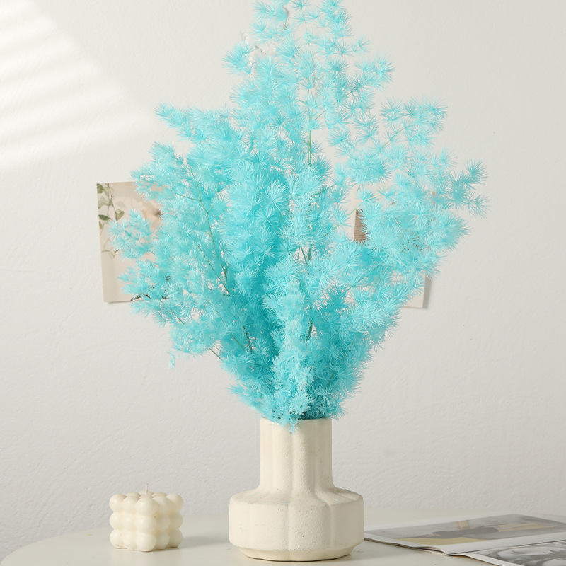 Preserved Ming Fern & Eternal  - Florist Supply Shop ulasan dan harga