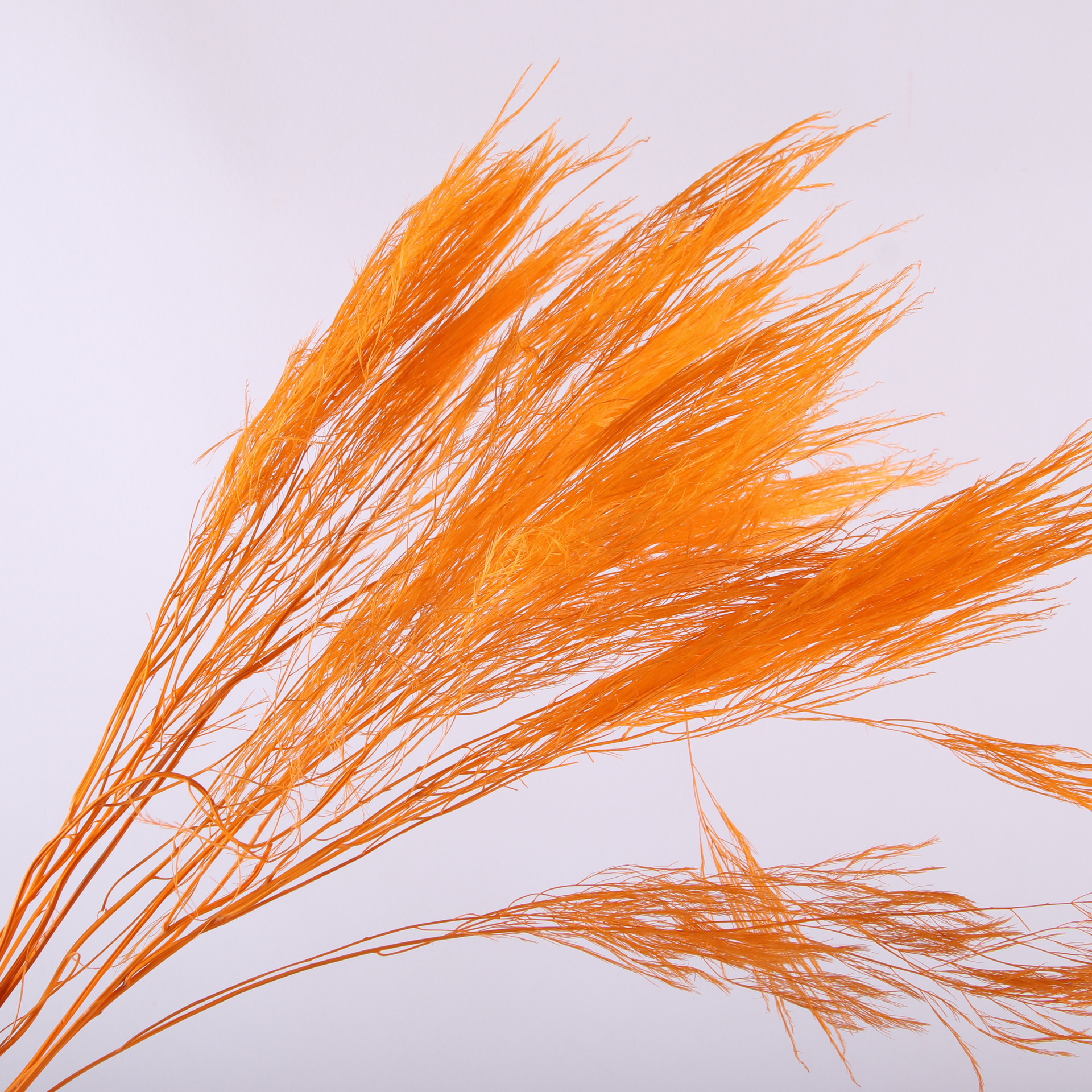 10pcs/bunch Dried Flower Bouqu - Dried Flower Bunch ulasan dan harga